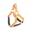 Doggie Comfort Dokuma Ronin Köpek Göğüs Tasması Small Turuncu 1.5x40-45 Cm
