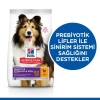 Hills Adult Sensitive Skin Hassas Köpekler İçin Tavuklu Yetişkin Köpek Maması 14 Kg