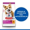 Hills Adult Small Mini Tavuklu Küçük Irk Köpek Maması 3 Kg
