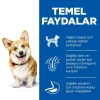 Hills Adult Small Mini Tavuklu Küçük Irk Köpek Maması 3 Kg
