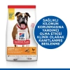Hills Light Orta Irk Tavuklu Diyet Köpek Maması 14 Kg