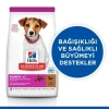 Hills Puppy Small & Mini Kuzu Etli Küçük Irk Yavru Köpek Maması 3 Kg
