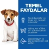 Hills Puppy Small & Mini Kuzu Etli Küçük Irk Yavru Köpek Maması 6 Kg