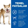 Hills Tahılsız Tavuklu Yetişkin Köpek Maması 12 Kg