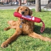 Kong Signature Stick Çubuk Şeklinde İp Detaylı Köpek Oyuncağı Medium