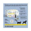 OneVet Amino-Sol Kedi ve Köpekler İçin Gelişim Destekleyici Damla 50 Ml
