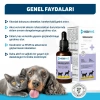OneVet Glukozamin Kedi ve Köpekler İçin Eklem, Kas ve Kıkırdak Sağlığı Destekleyici Damla 50 Ml