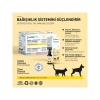OneVet Multi Vitamin Kedi ve Köpekler İçin Kemik ve Kas Güçlendirici Vitamin Takviyesi 50 Ml
