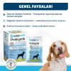 OneVet Sindirim ve Bağışıklık Güçlendirici Köpekler için Probiyotik Saşe 1 Gr 7 Adet