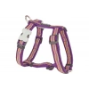 Red Dingo Dreamstream Desenli Köpek Göğüs Tasması Mor 20 Mm