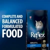 Reflex Plus Adult Somonlu Yetişkin Kedi Maması 15 Kg