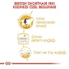 Royal Canin British Shorthair Adult Pouch Konserve Kedi Maması 85 Gr