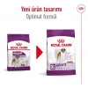 Royal Canin Giant Adult Dev Irk Yetişkin Köpek Maması 15 Kg