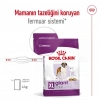 Royal Canin Giant Adult Dev Irk Yetişkin Köpek Maması 15 Kg