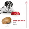 Royal Canin Giant Adult Dev Irk Yetişkin Köpek Maması 15 Kg