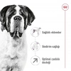 Royal Canin Giant Adult Dev Irk Yetişkin Köpek Maması 15 Kg