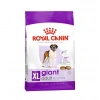 Royal Canin Giant Adult Dev Irk Yetişkin Köpek Maması 15 Kg