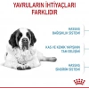 Royal Canin Giant Junior Dev Irk Yavru Köpek Maması 15 Kg