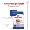 Royal Canin Maxi Adult Büyük Irk Yetişkin Köpek Maması 15 Kg