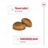 Royal Canin Maxi Adult Büyük Irk Yetişkin Köpek Maması 15 Kg