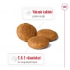 Royal Canin Medium Adult Yetişkin Köpek Maması 15 Kg