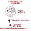 Royal Canin Medium Adult Yetişkin Köpek Maması 15 Kg