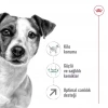Royal Canin Mini Adult 8+ Küçük Irk Yaşlı Köpek Maması 2 Kg