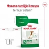 Royal Canin Mini Adult 8+ Küçük Irk Yaşlı Köpek Maması 2 Kg
