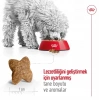 Royal Canin Mini Adult Küçük Irk Yetişkin Köpek Maması 2 Kg