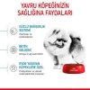 Royal Canin Mini İndoor Puppy Yavru Köpek Maması 1.5 Kg
