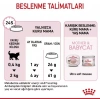 Royal Canin Mother Babycat Anne ve Yavru Kedi Maması 2 Kg