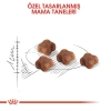 Royal Canin Mother Babycat Anne ve Yavru Kedi Maması 2 Kg