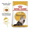 Royal Canin Persian Adult Yetişkin İran Kedisi Maması 400 Gr