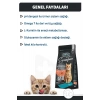 Signature Somonlu Kısırlaştırılmış Yetişkin Kedi Maması 10 Kg