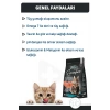 Signature Somonlu Yetişkin Kedi Maması 2 Kg