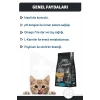 Signature Tavuklu Kısırlaştırılmış Yetişkin Kedi Maması 2 Kg