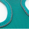 Tailpetz Air Mesh Harness Köpek Göğüs Tasması Xxxsmall Emerald 20-24x24-28 Cm