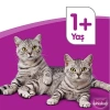 Whiskas Ton Balıklı ve Sebzeli Yetişkin Kedi Maması 300 Gr