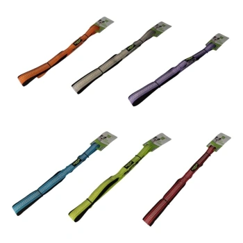 Nunbell Köpek Soft Gezdirme 2 Cm