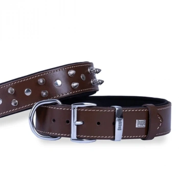 Doggie Comfort Deri Çivili Köpek Boyun Tasması Small Kahverengi 4x47-55 Cm