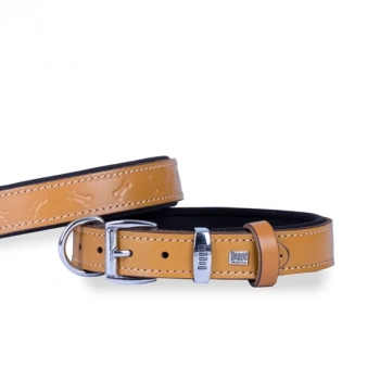 Doggie Comfort Deri Kemik Desenli Köpek Boyun Tasması Medium Camel 3x42-50 Cm