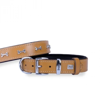 Doggie Comfort Deri Kemik Süslü Köpek Boyun Tasması Medium Camel 2.5x37-45 Cm