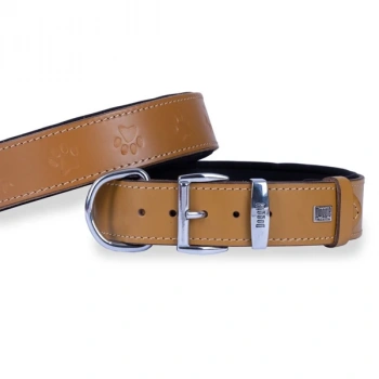 Doggie Comfort Deri Pati Desenli Köpek Boyun Tasması Medium Camel 4x52-60 Cm