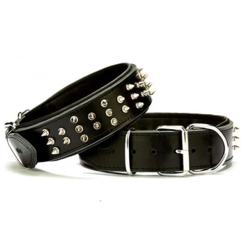 Doggie Güçlü Deri Çivili Köpek Boyun Tasması Medium Siyah 5x55-65 Cm