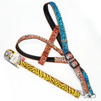 Euro Dog Köpek Uzatma Tasması ve Göğüs Tasması Takımı Renkli 25 Mm 120 Cm