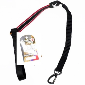 Euro Dog Lastikli Köpek Uzatma Tasması Kırmızı 25 Mm 120 Cm