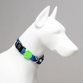 Lindo Dogs Blue Dream Köpek Boyun Tasması Mavi Medium