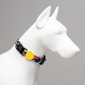 Lindo Dogs Enjoy Köpek Boyun Tasması Renkli Large