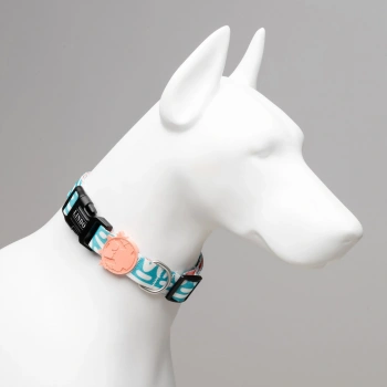 Lindo Dogs Touch Köpek Boyun Tasması Beyaz/Mavi Small