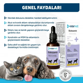 OneVet Glukozamin Kedi ve Köpekler İçin Eklem, Kas ve Kıkırdak Sağlığı Destekleyici Damla 50 Ml
